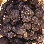 Malvarina *
