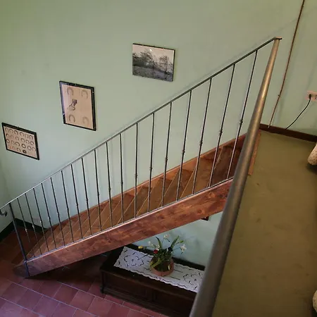 Malvarina Capodacqua (Assisi)