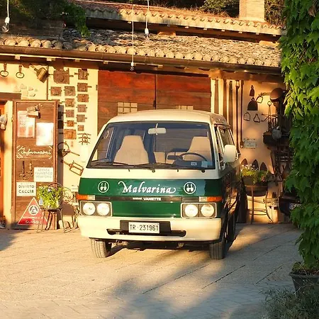 Malvarina *