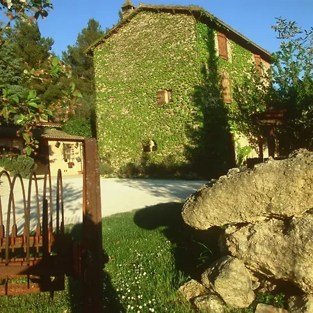 Malvarina *