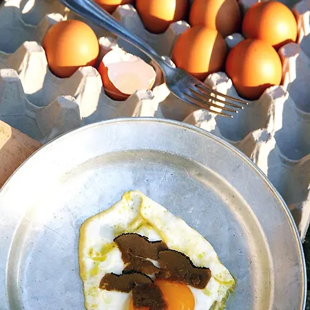 Malvarina Capodacqua (Assisi)