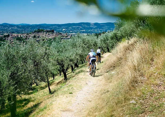 Gospodarstwo agroturystyczne Malvarina