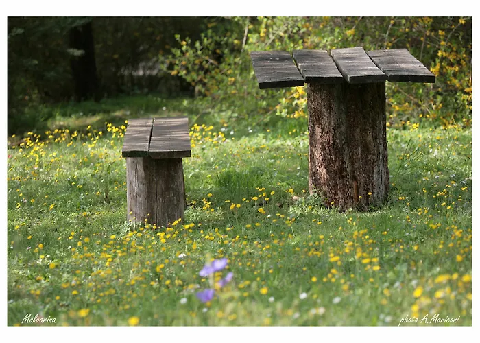 Gospodarstwo agroturystyczne Malvarina